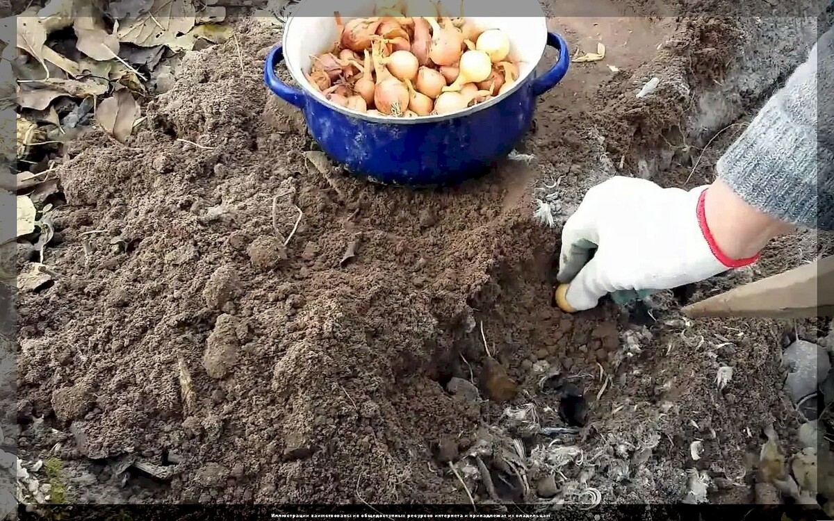 https://vk.com/photo-159774511_457267298