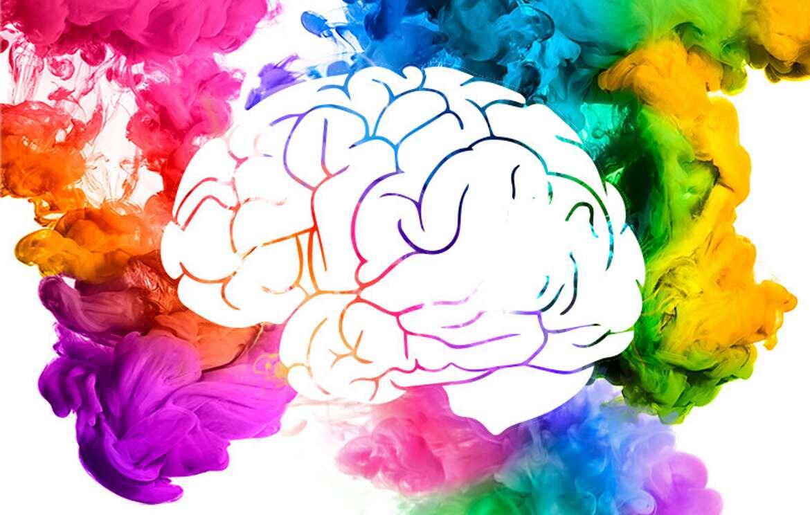 Цвет и мозг