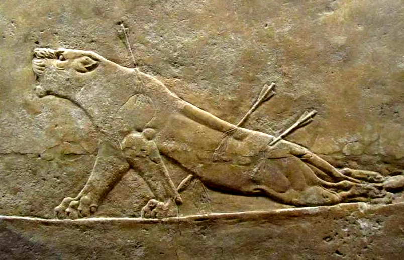 «Умирающая львица», рельеф, VII век до н.э. Британский музей, Лондон