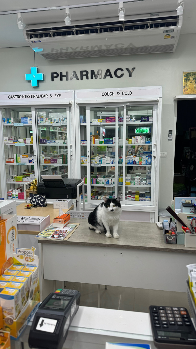 Это я покупаю лекарства после похода к тайскому массажисту 😂