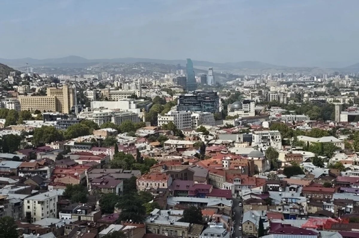    ТАСС: Украина отправила в Грузию координатора готовящихся беспорядков