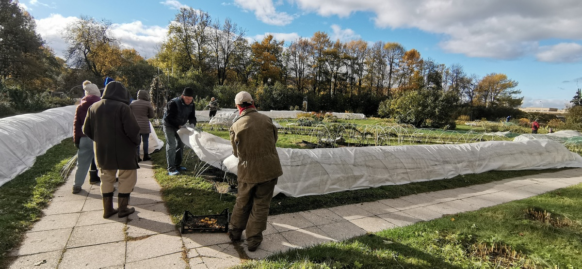 в процессе, работаем, в кадре лишь малая часть