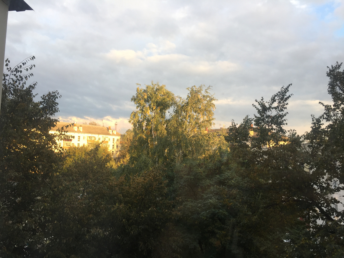 21 сентября. Все деревья зеленые