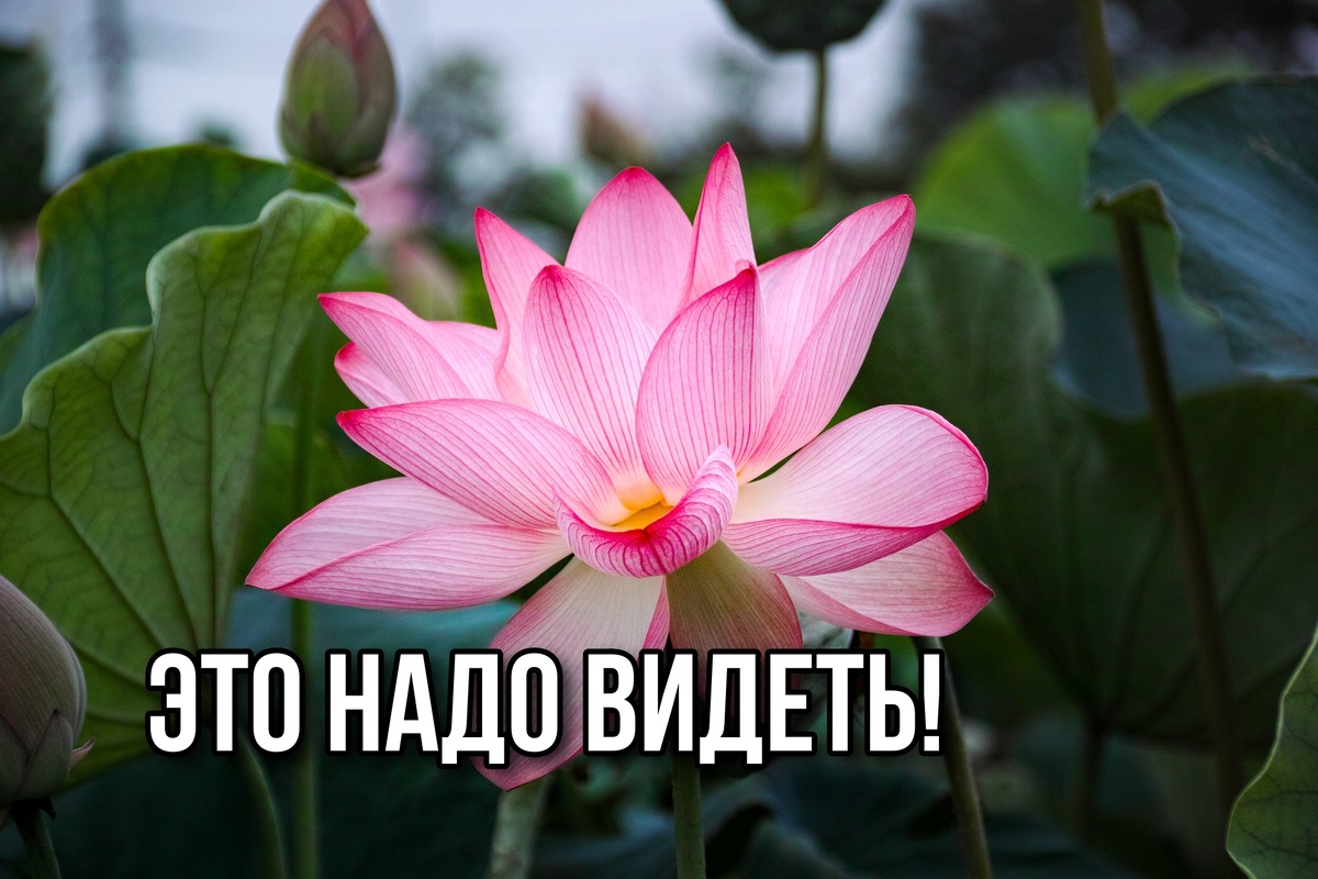 Это настоящее сокровище для туристов! В этих местах Астрахани вы точно еще не были. ТОП-10 причин побывать в этих местах