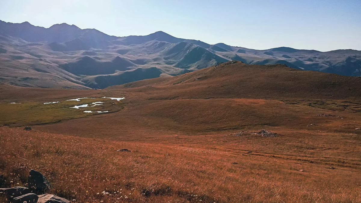 © photo: Sputnik / Stringer