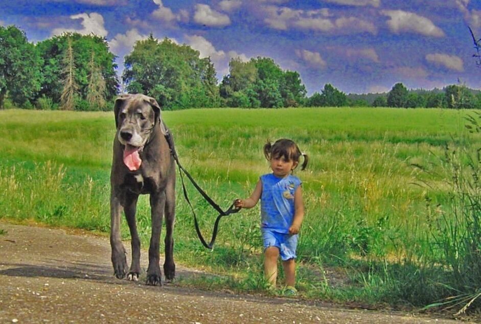 фото с Яндекс.Картинки