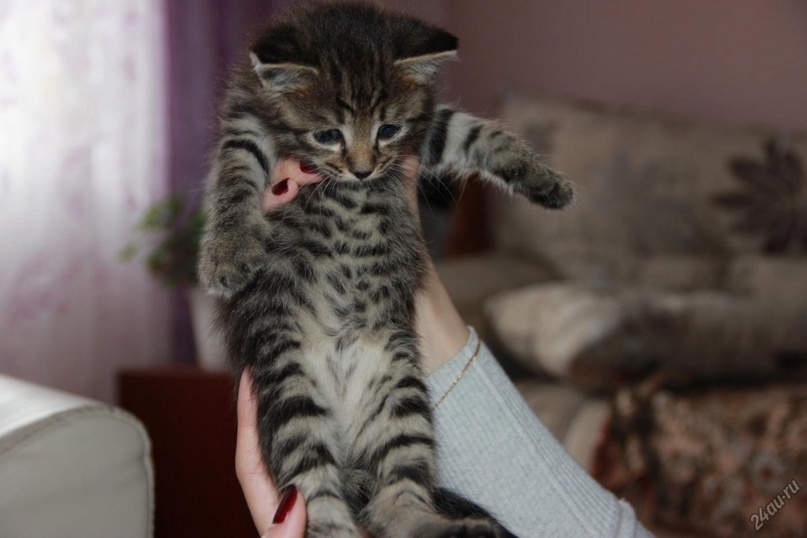 фото с Яндекс.Картинки