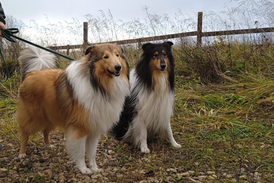 Фото из личного архива