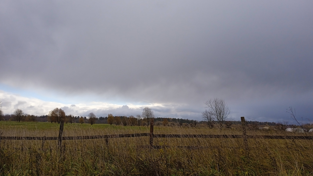 Фото из личного архива