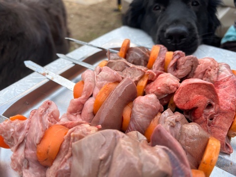 Шашлык для собак, не является рационом, создавался для фото)