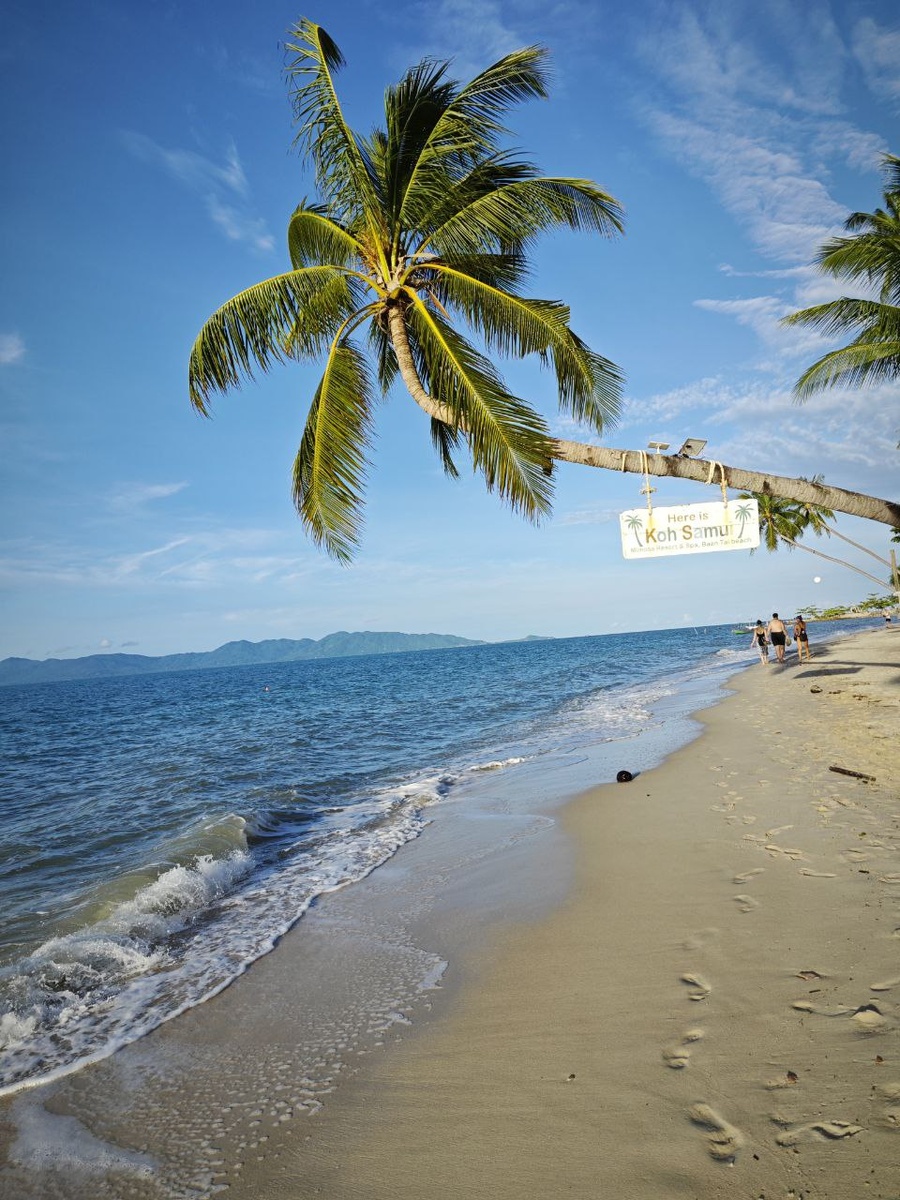 Для обоев. Больше фото на моем канале в соответствующей статье, которая регулярно пополняется новыми фото