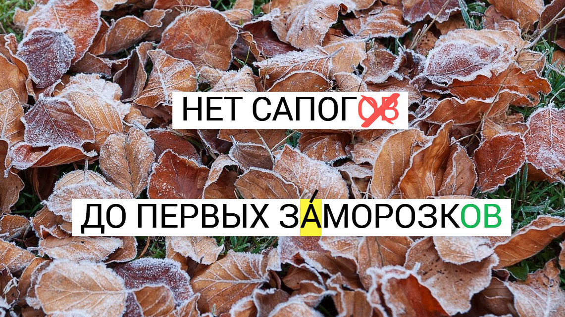 фото от freepik