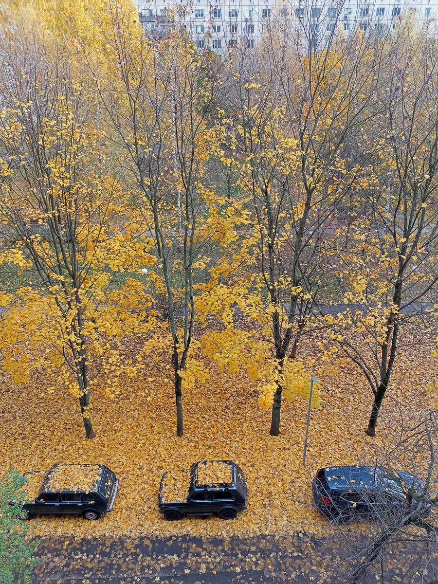 Вид из окна 25.10.2024