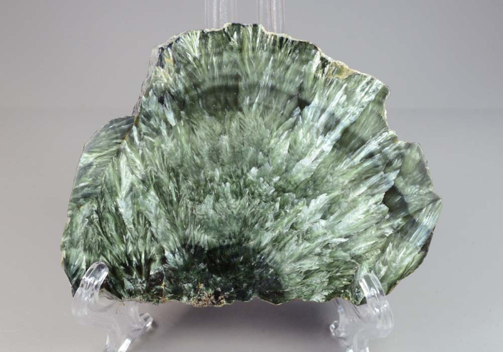 Фото из Интернета.