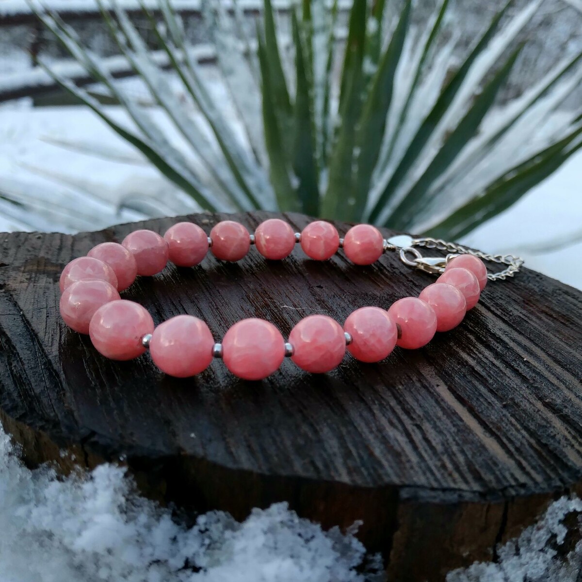 Фото из Интернета.