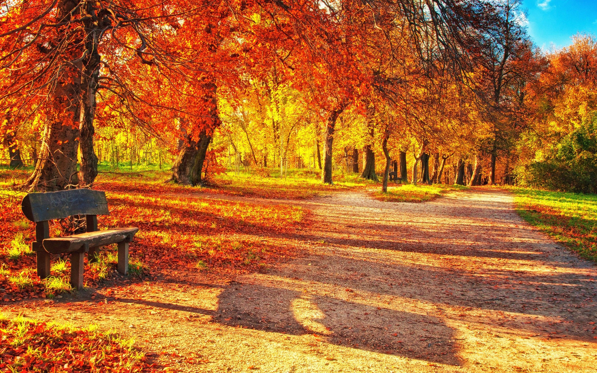 Фото взято из интернета.