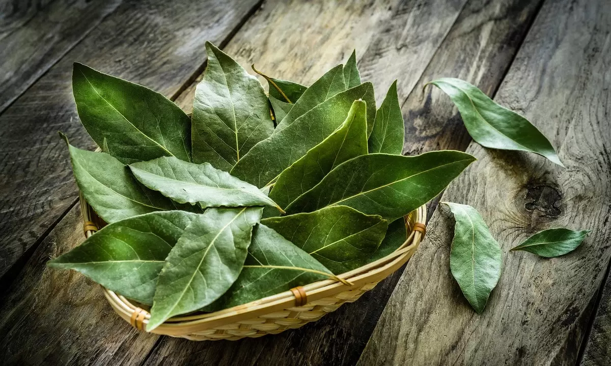 Фотография взята из источника yandex.ru