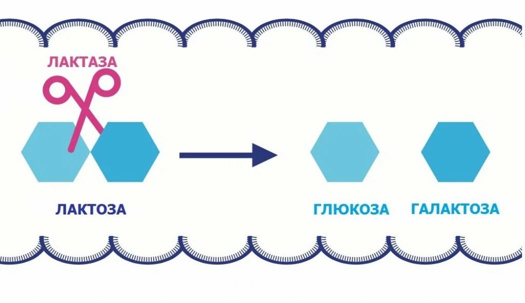 Источник Яндекс Картинки