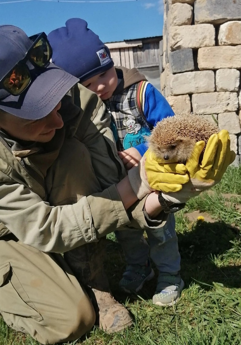 Изучаем окружающий мир. За ежа не волнуйтесь, он выпущен на свободу. 