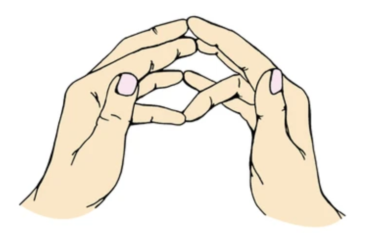 Сурабхи мудра