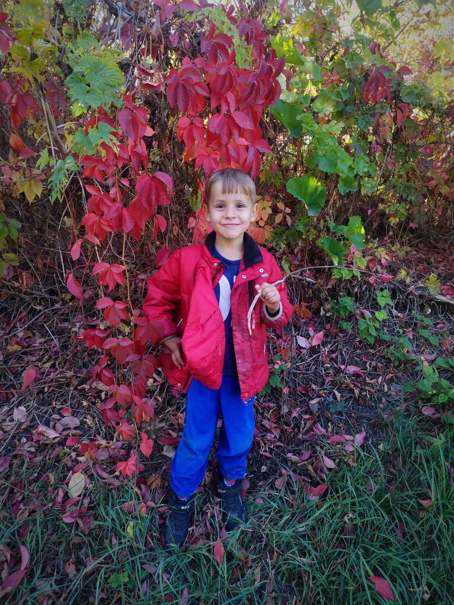 Причина низкого гемоглобина