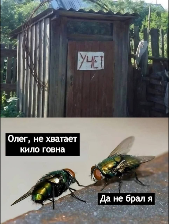 Вопреки распространенному мнению, копро-практика вполне популярна у населения