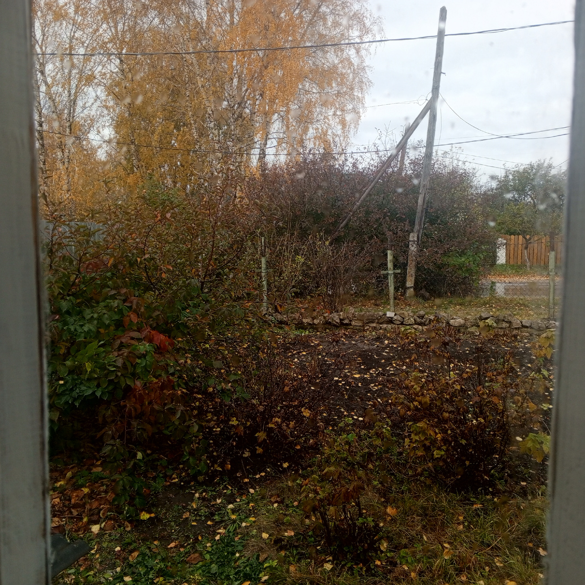 Личное фото автора