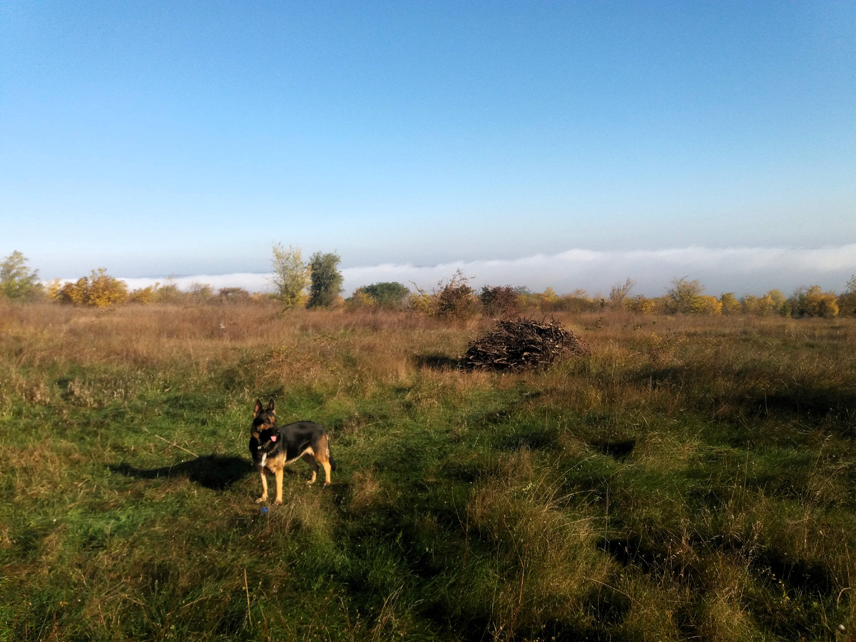 Фото автора