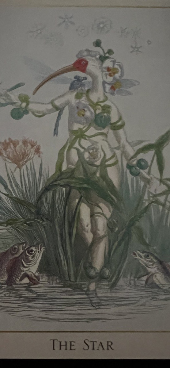 СА -XVII "ЗВЕЗДА" в колоде  Таро "Фантастический зверинец"