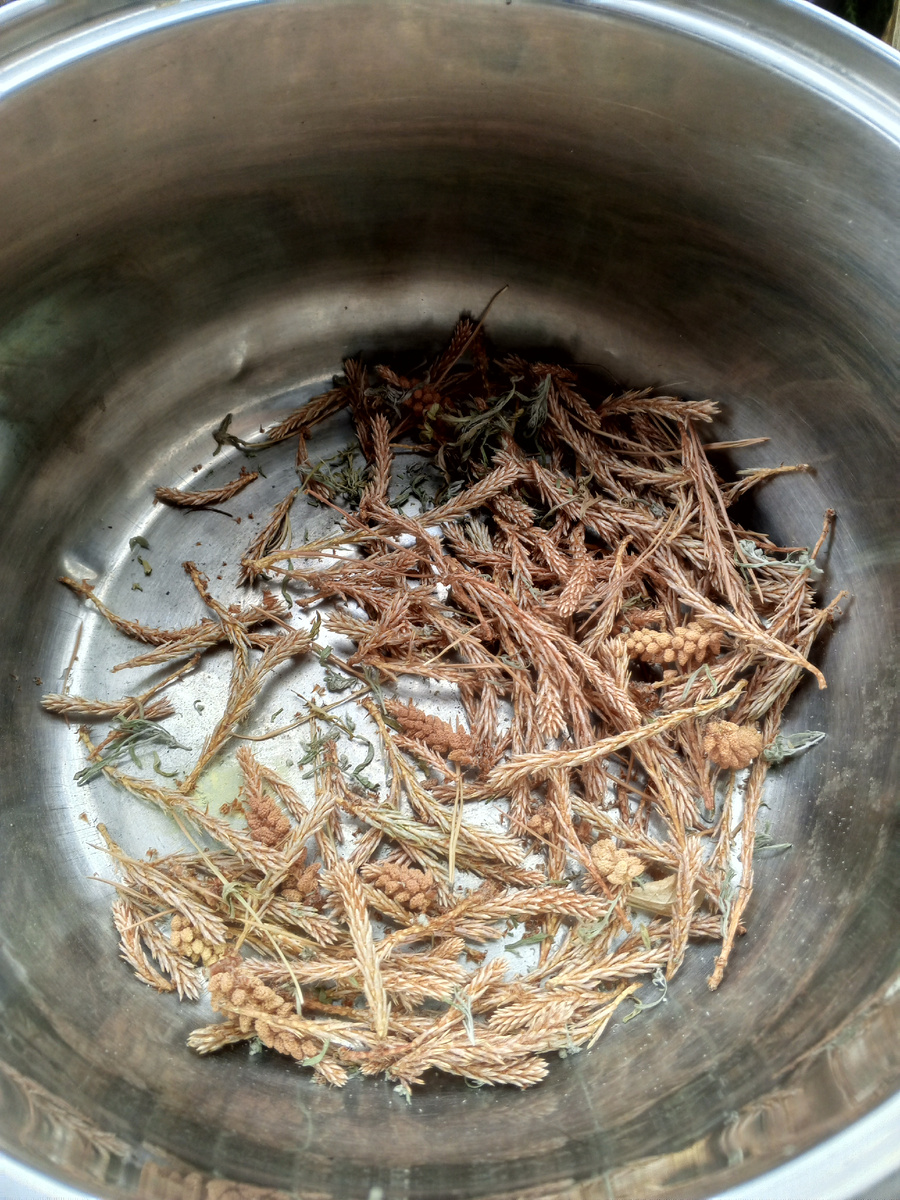 Это уже готовые к увариванию сосновые пальчики