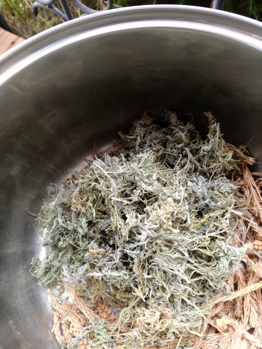 К сосновым почкам добавляем сушёный лист полыни 