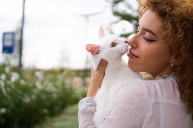    Почему кошкам нравится запах пота человека?