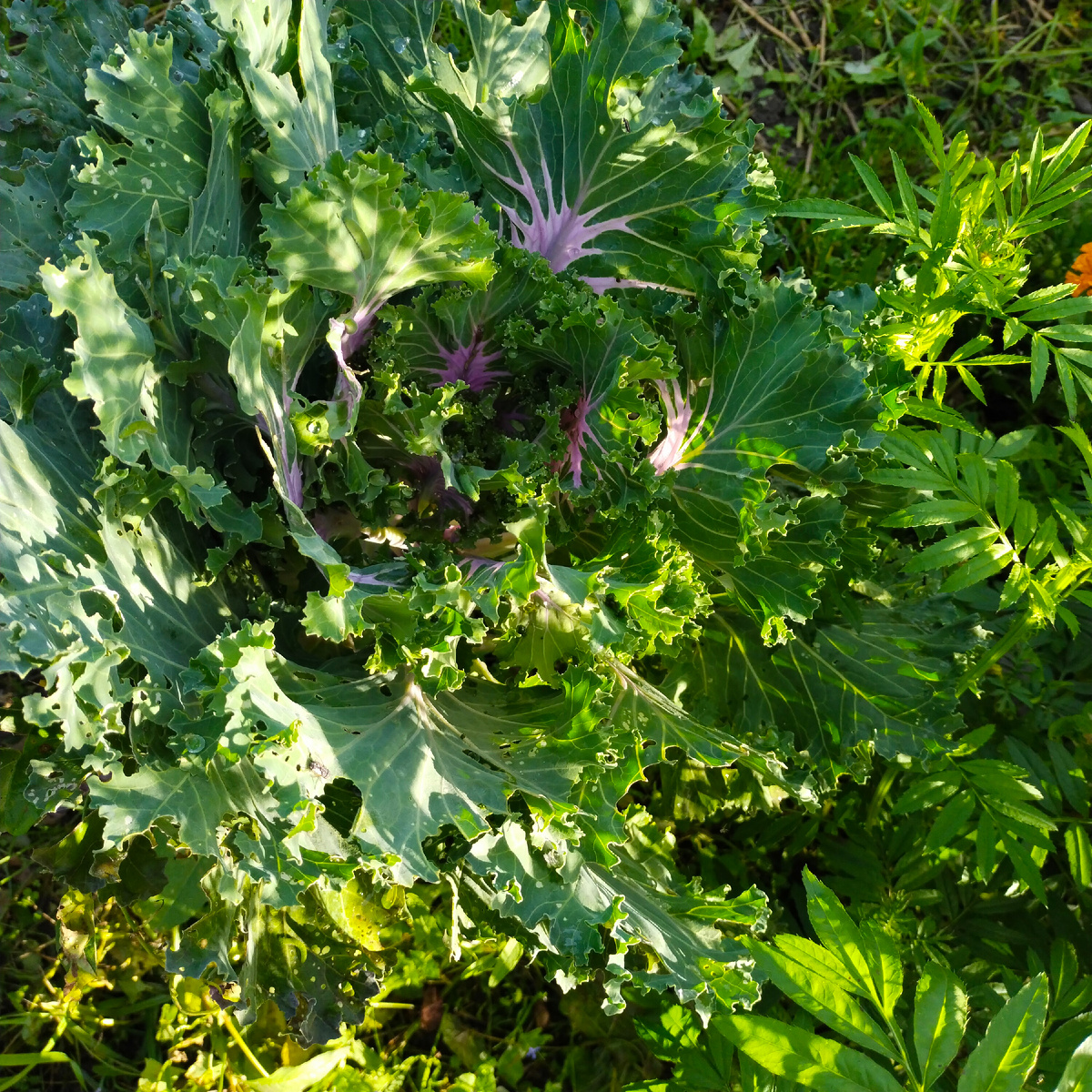 Фото автора канала