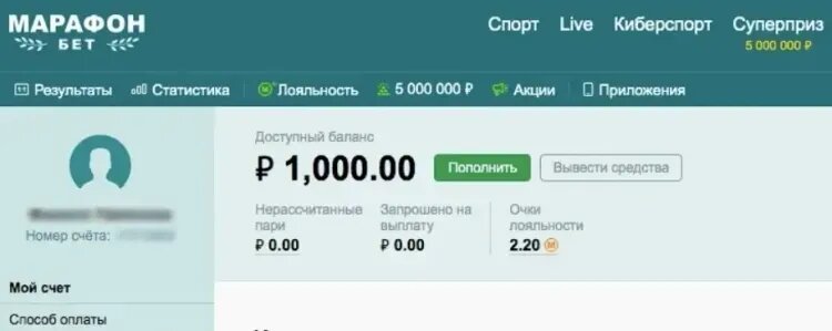    Кнопка «Вывести средства»