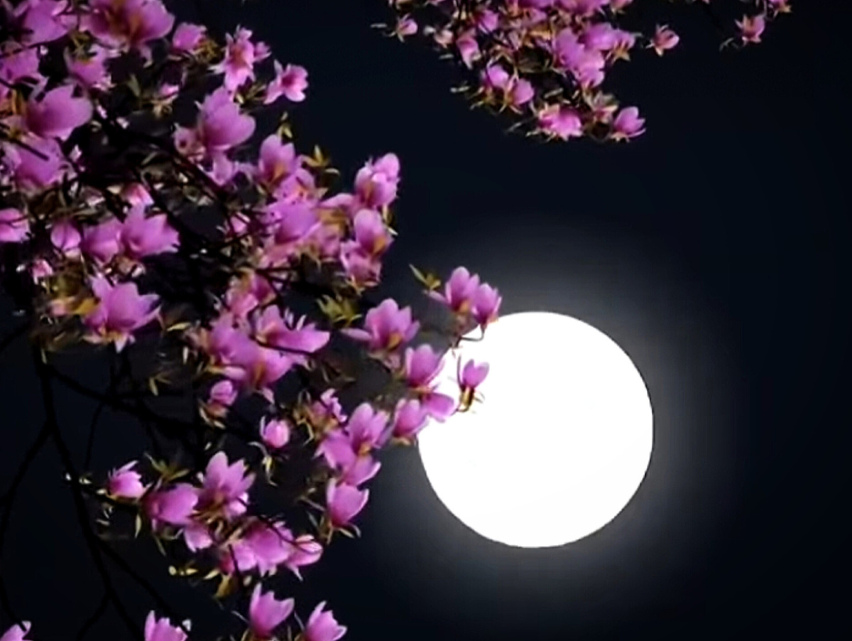 / коллаж от автора/