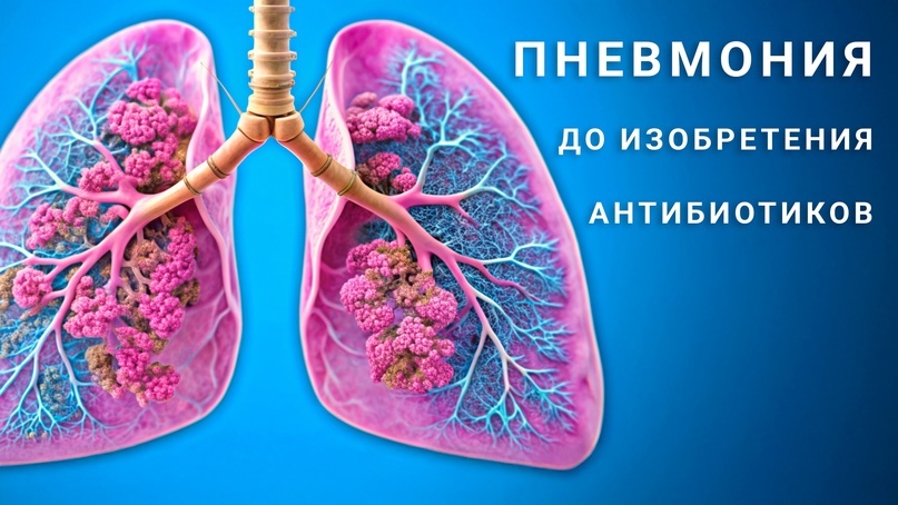 материал принадлежит владельцу канала канала