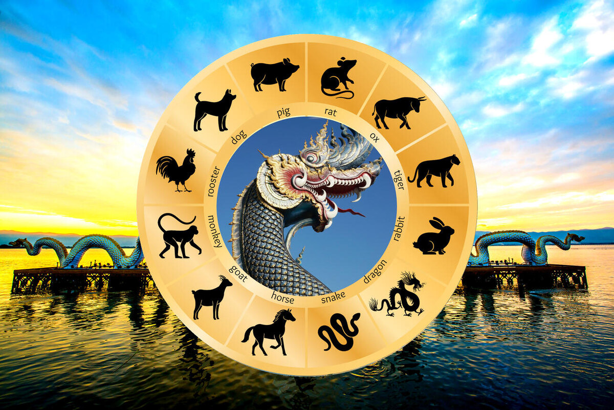    Тайский гороскоп на неделю 28 октября — 3 ноября для всех знаков восточного зодиака 123RF/legion-media.ru. Коллаж: 7Дней.ru