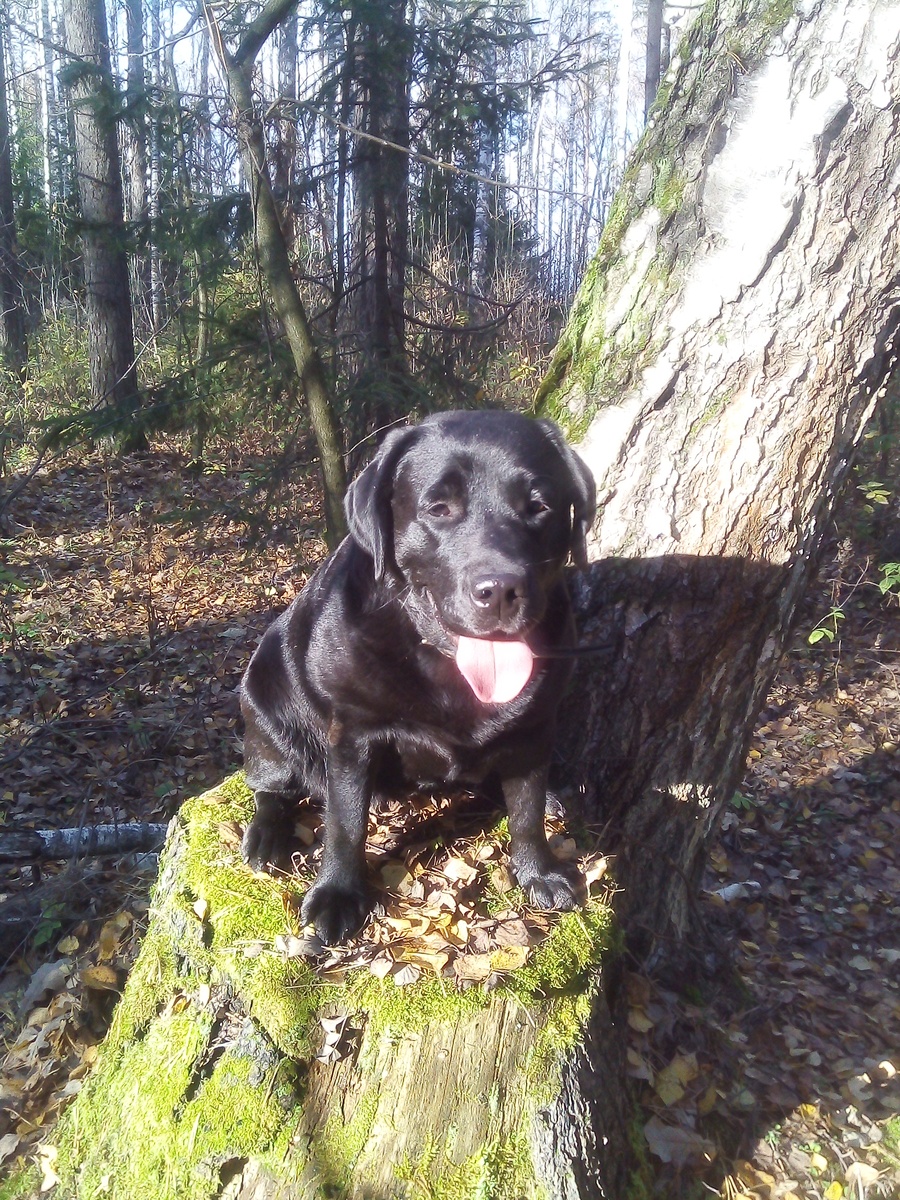 Фото автора.