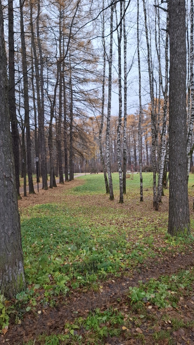 Тишина и спокойствие в парке.