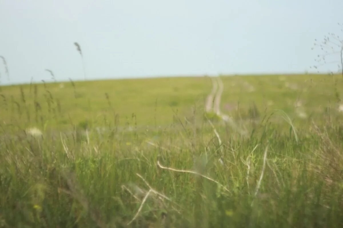    В Новосибирске рассказали, как регион справляется с аграрными вызовами