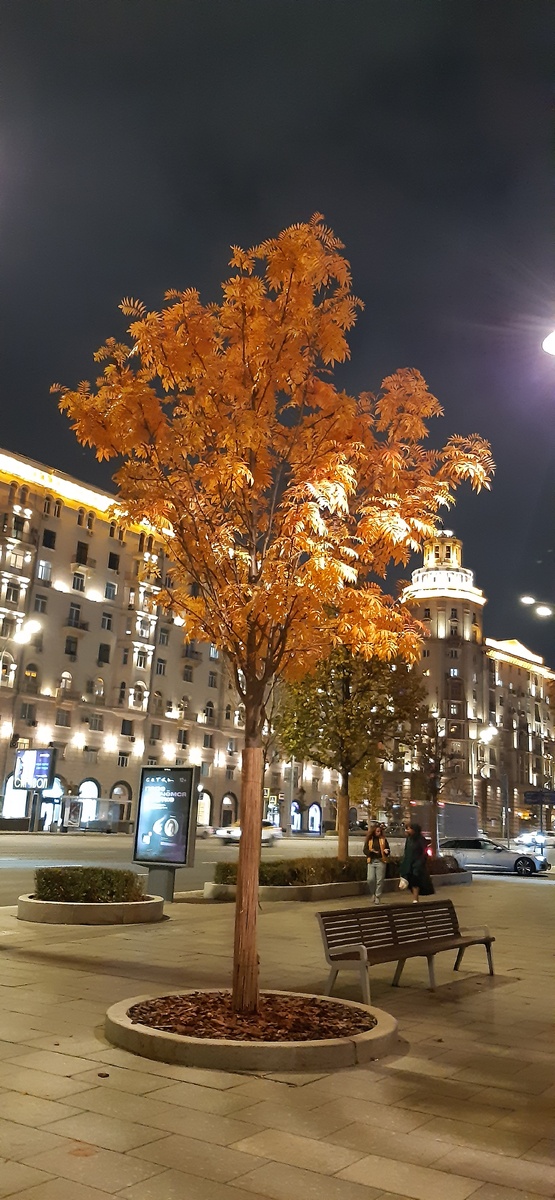 Малая Сухаревская площадь в Москве.