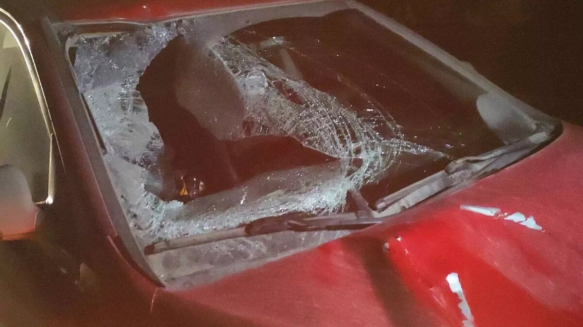     Источник: ГАИ ТО