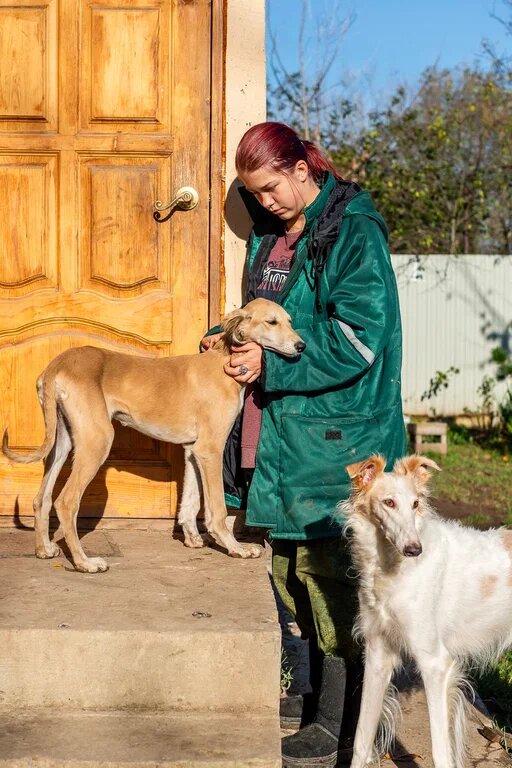 Леди. Всеобщая тетушка