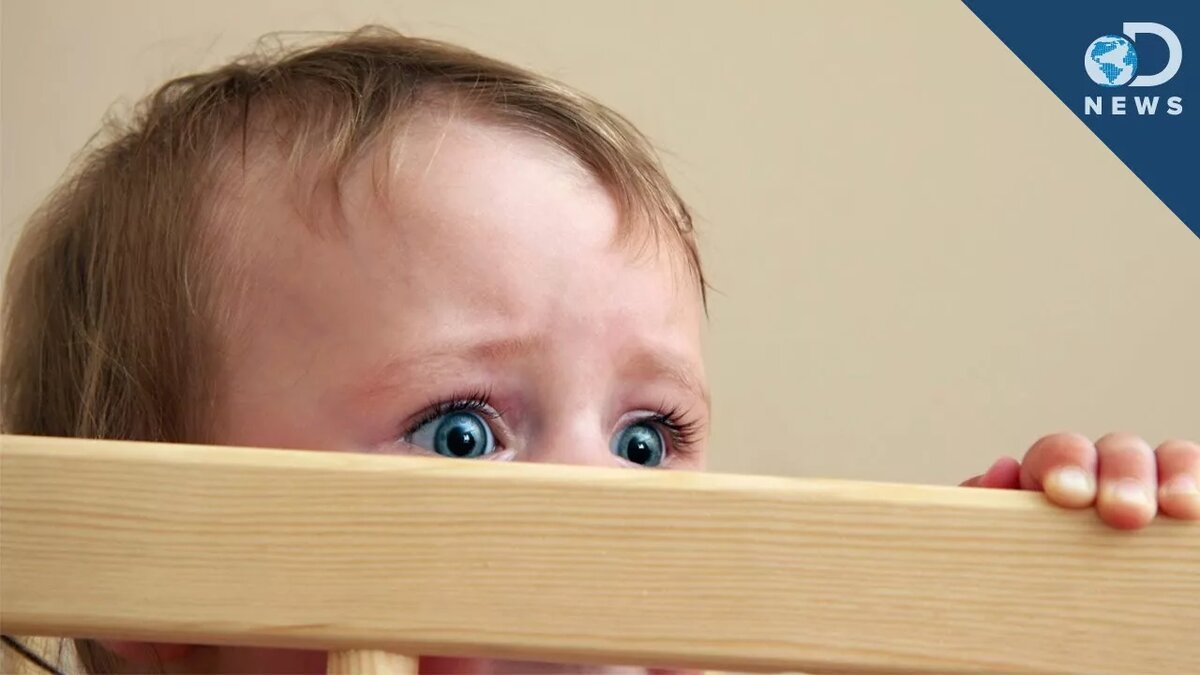 Все мы это пережили. Яндекс. Картинки