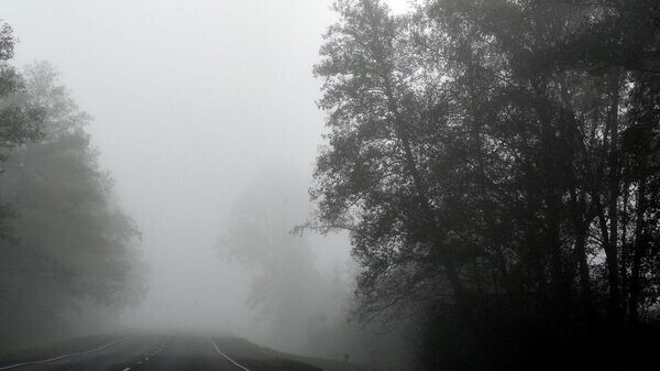    © Sputnik / Виктор Толочко