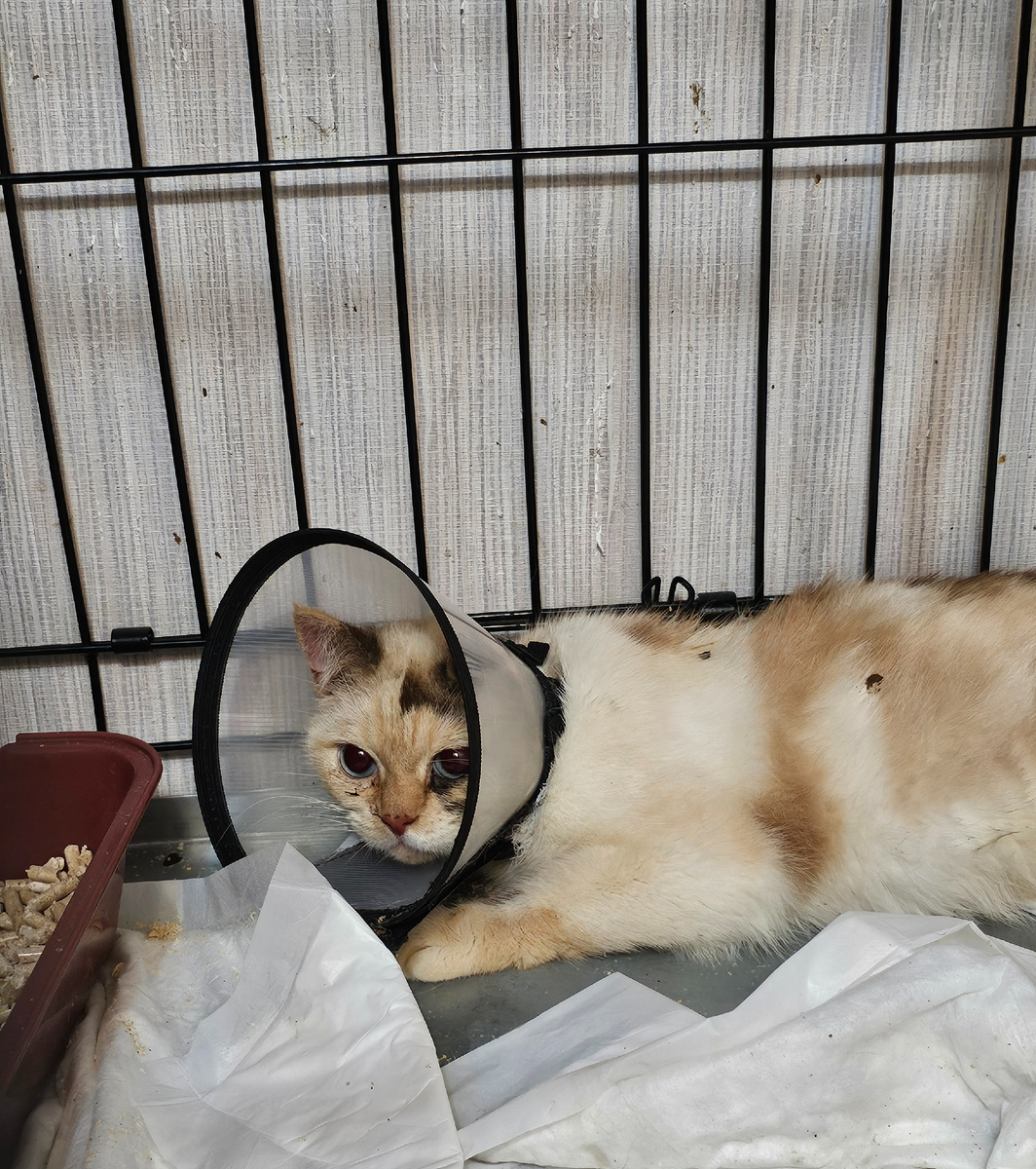 Фото автора. Маруся.