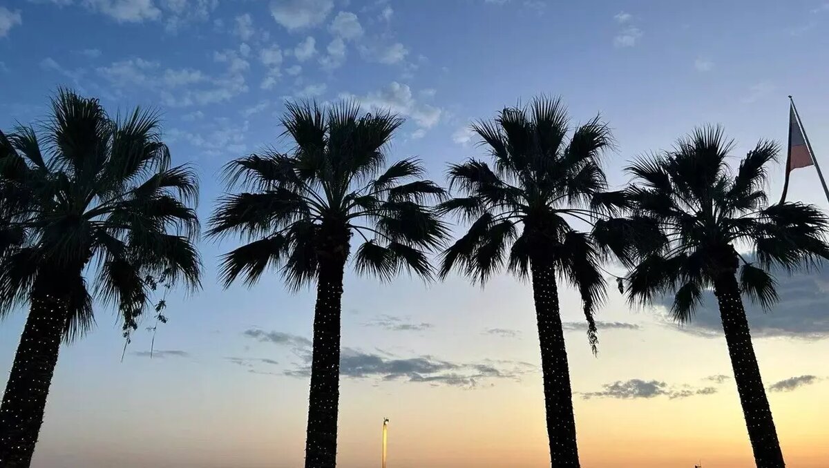     Источник: newsnn.ru