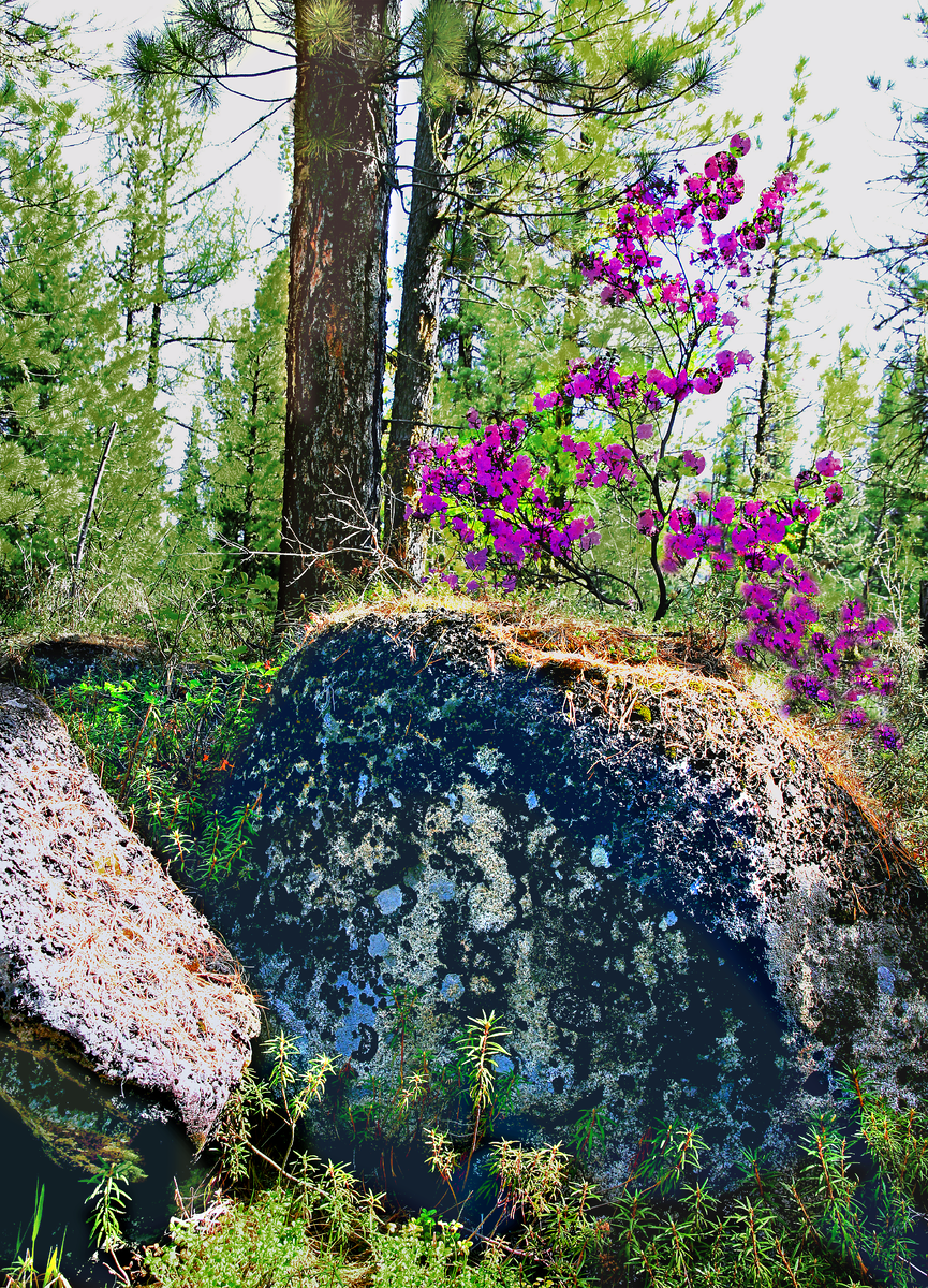 Фотография, стихотворение Василия Глуцкого