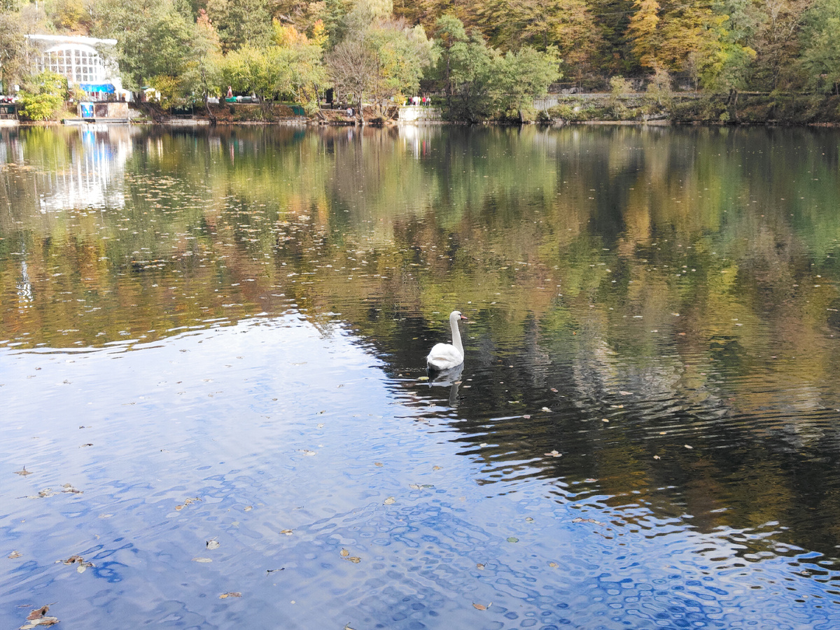 "Явь увидишь сам..."
