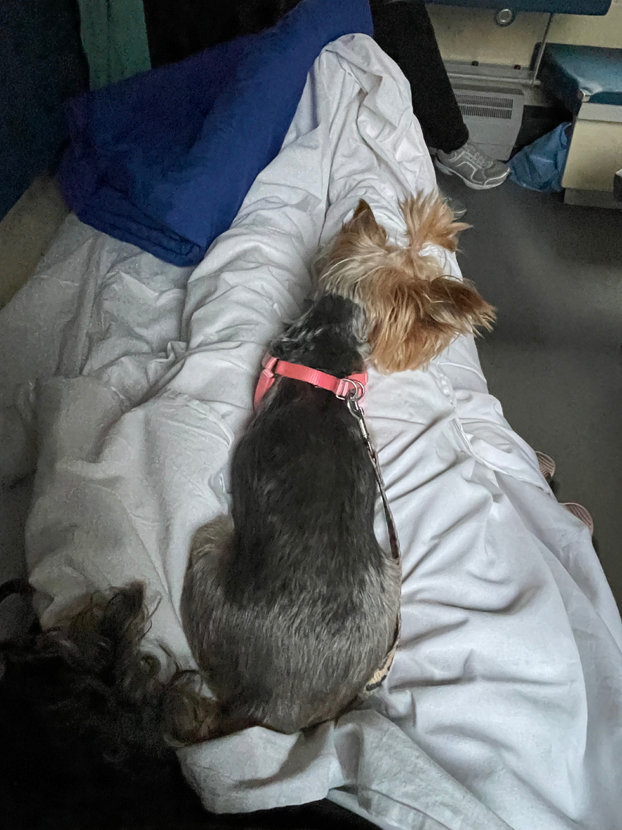 Анфиса сразу на боковую)